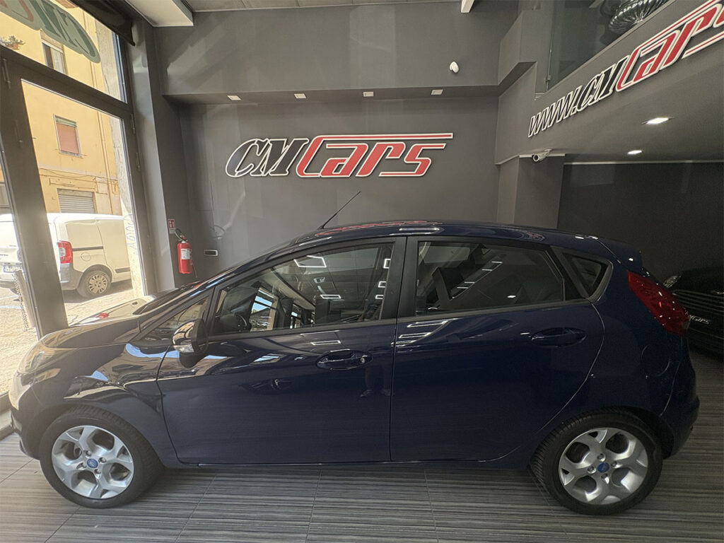 Ford Fiesta 1.4 TDCI 70cv Ikon Business