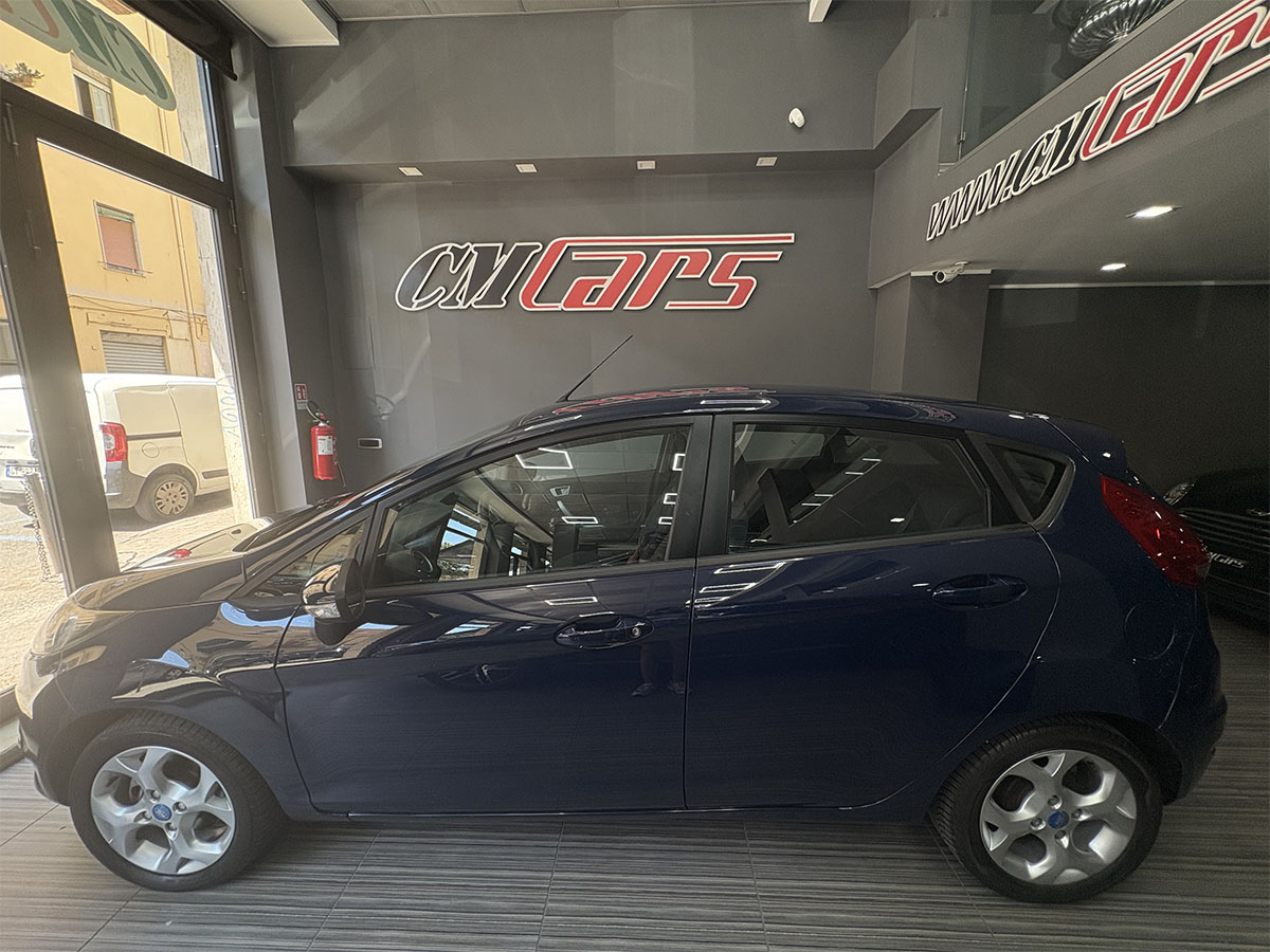 Ford Fiesta 1.4 TDCI 70cv Ikon Business
